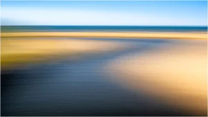 Where the River meets the Sea by Terry Rees